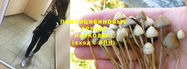 таблы Каменногорск