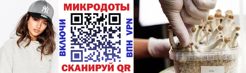 omg как зайти  Ряжск  Галлюциногенные грибы Magic Shrooms 